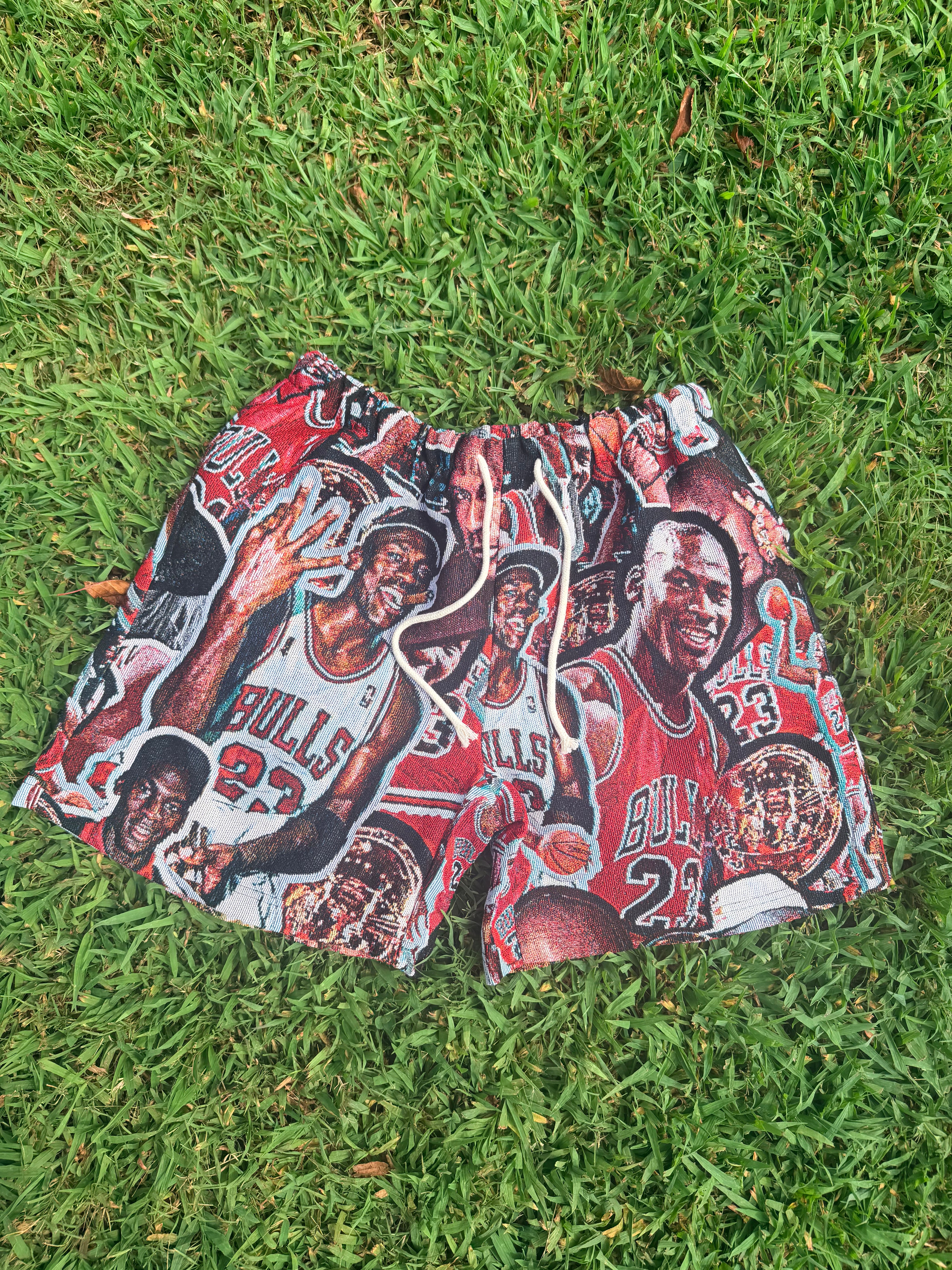 Bulls 23 Legacy Collage Shorts