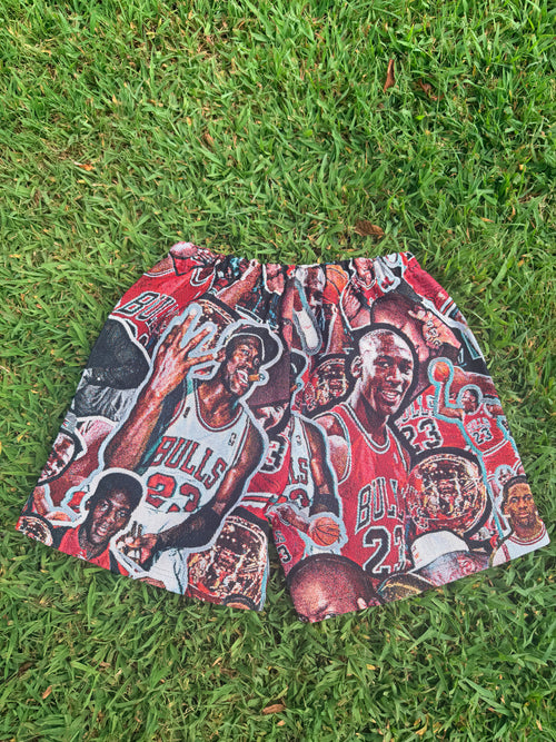 Bulls 23 Legacy Collage Shorts